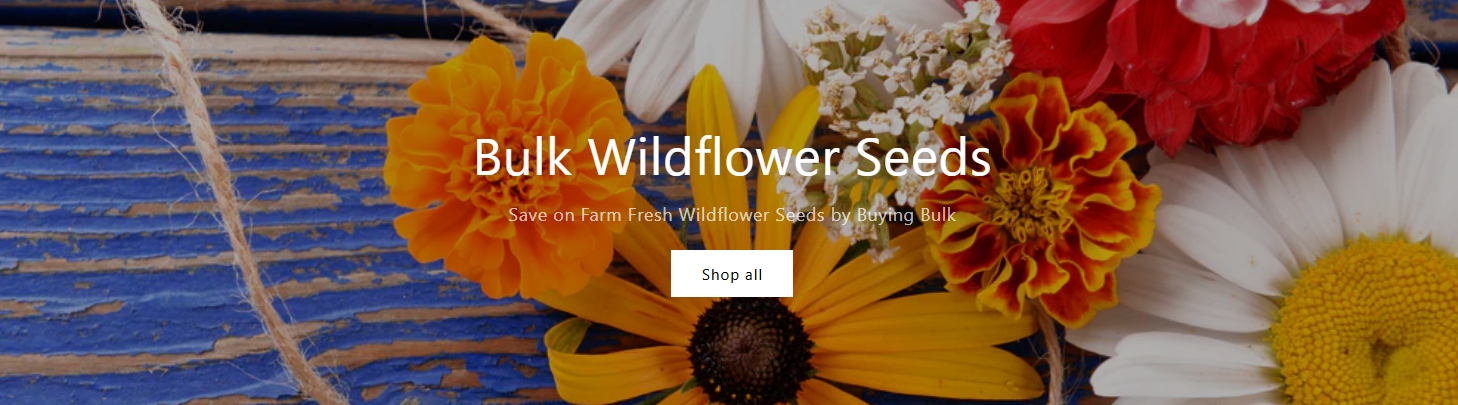 bulkwildflowers.com banner